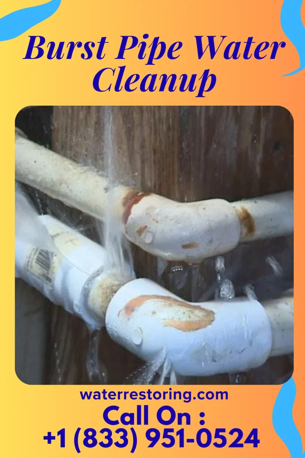 Burst Pipe Water Cleanup in Polo, MO