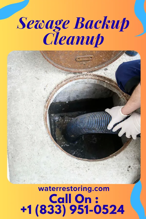 Sewage Backup Cleanup in Polo, MO